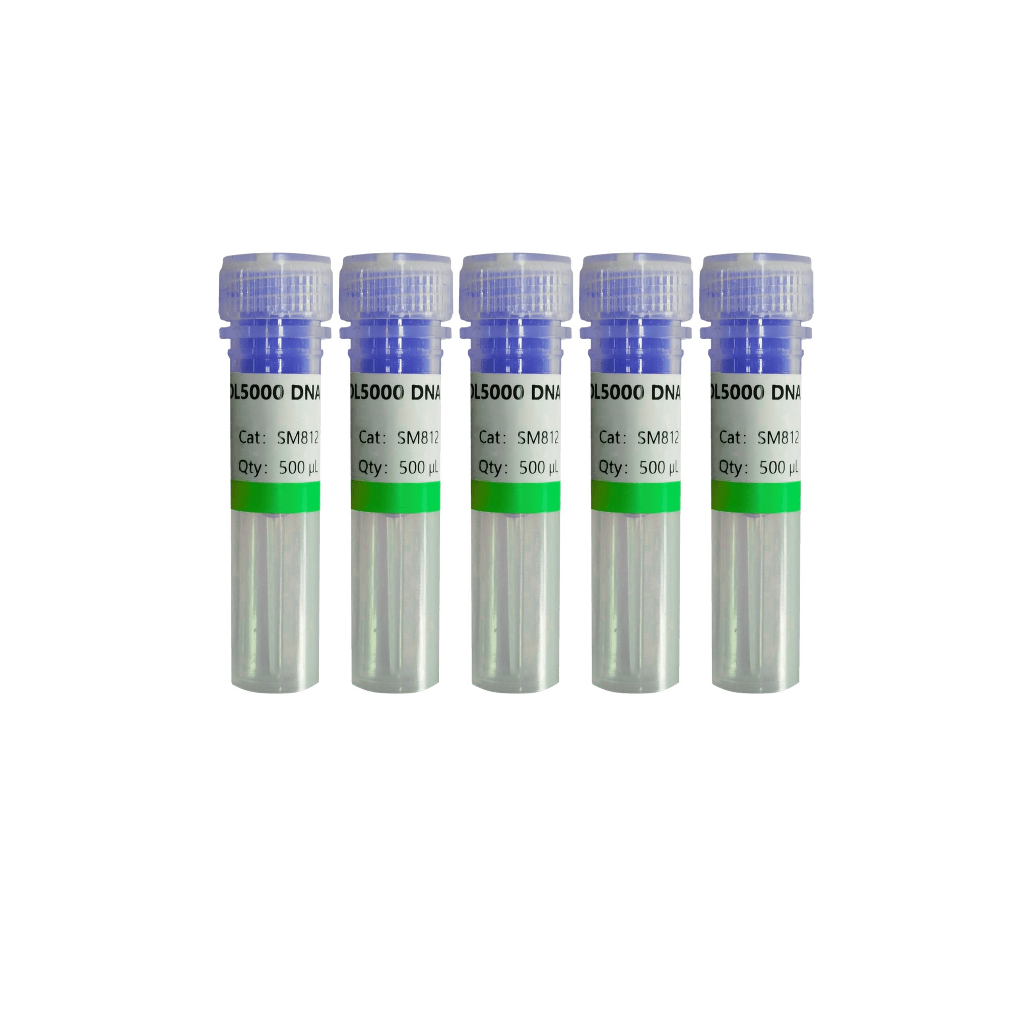 aicon-bio-dl5000-dna-marker-aicon-bio