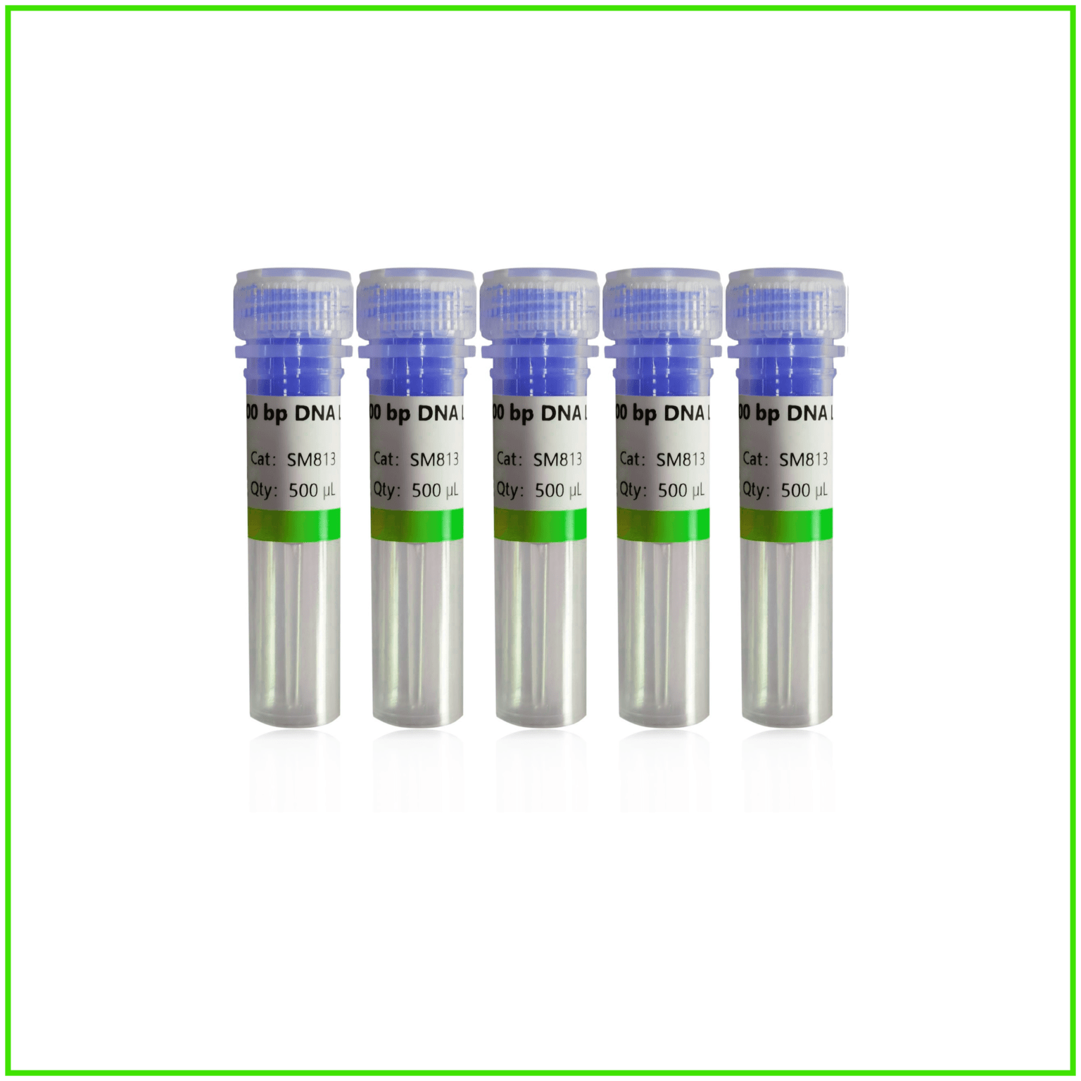 AICON-BIO™ 100 bp DNA Ladder - AICON-BIO