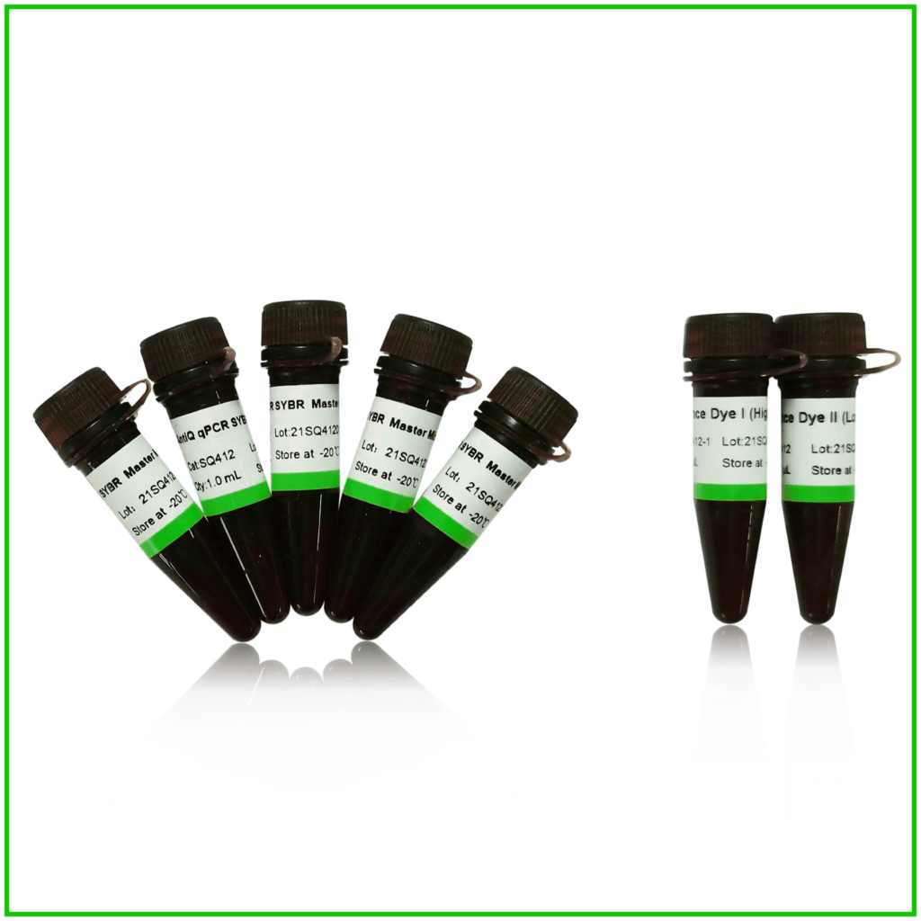 AICONBIO™ UnionScript Firststrand cDNA Synthesis Mix for qPCR AICONBIO