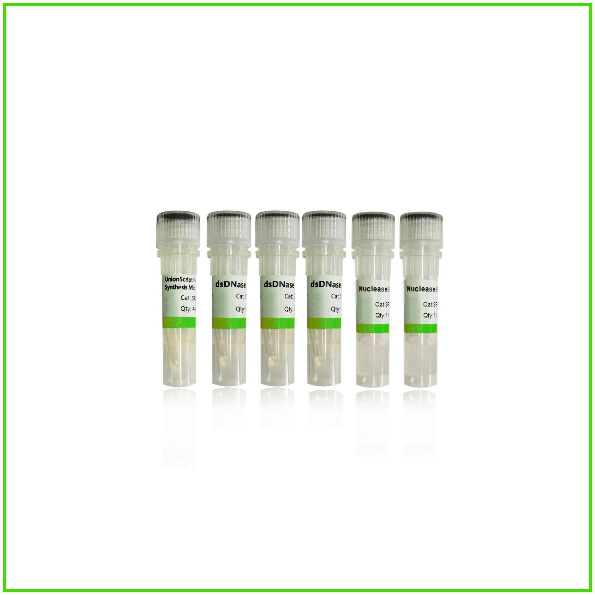 UnionScript Firststrand cDNA Synthesis Mix for qPCR(with dsDNase