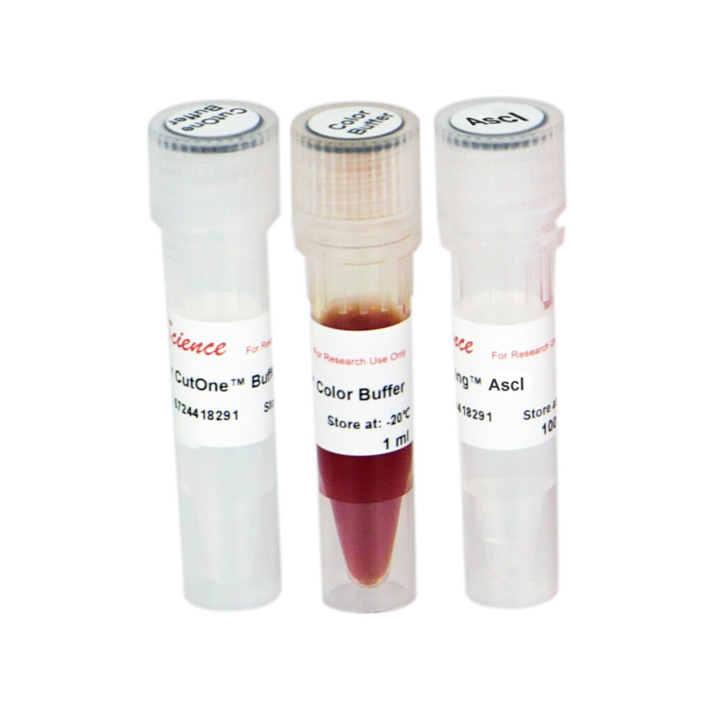 AICON-BIO™ AscI - AICON-BIO
